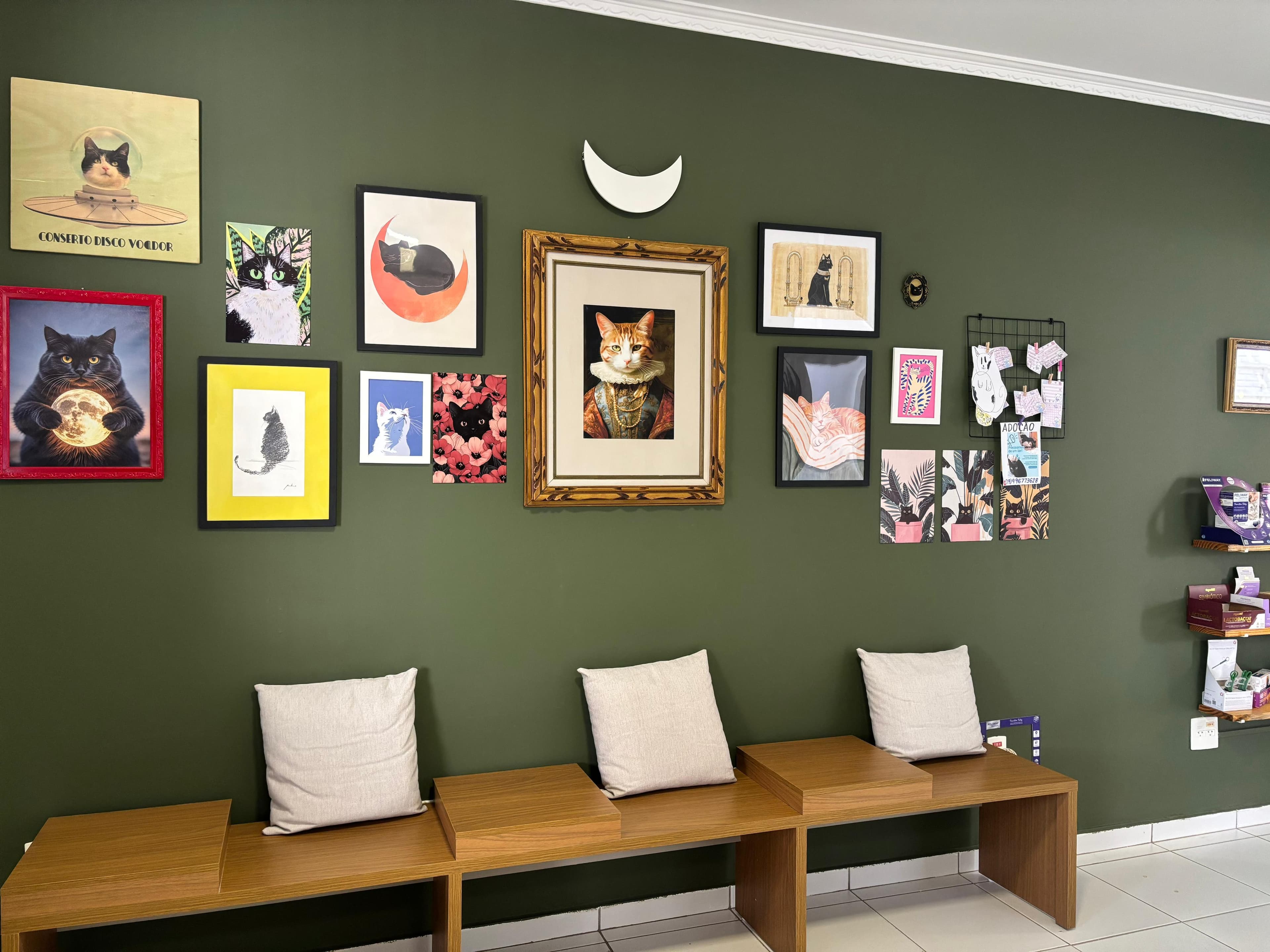 Consultório felino preparado